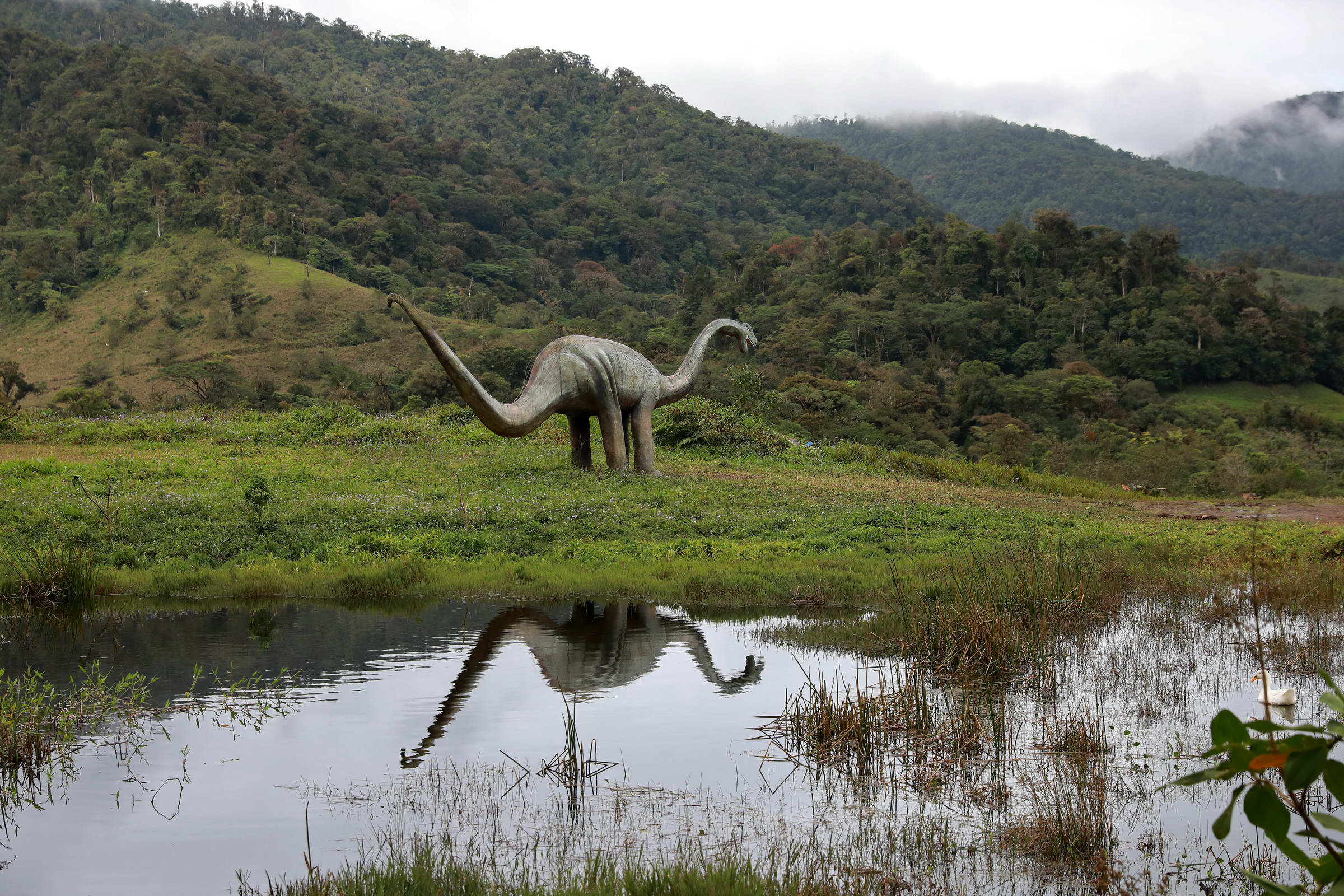 Dinosaurier Costa Rica