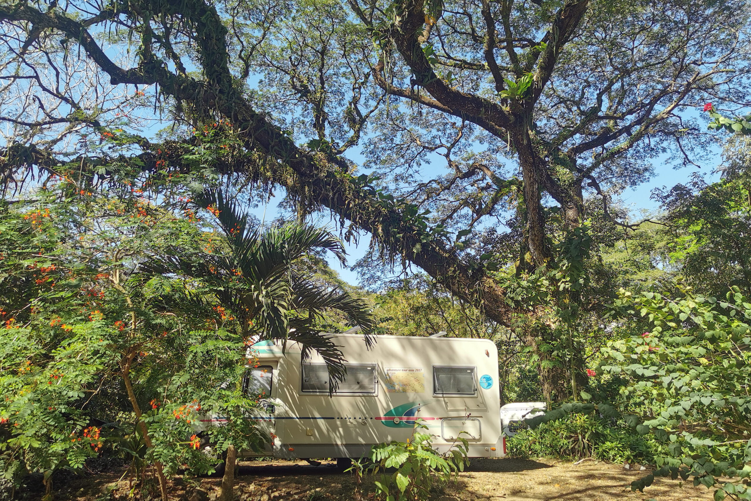 Camping im Dschungel