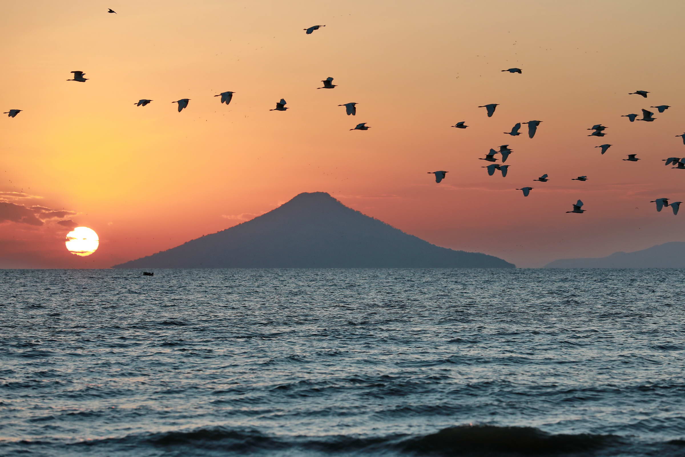 Vulkan und Vögel im Morgenlicht