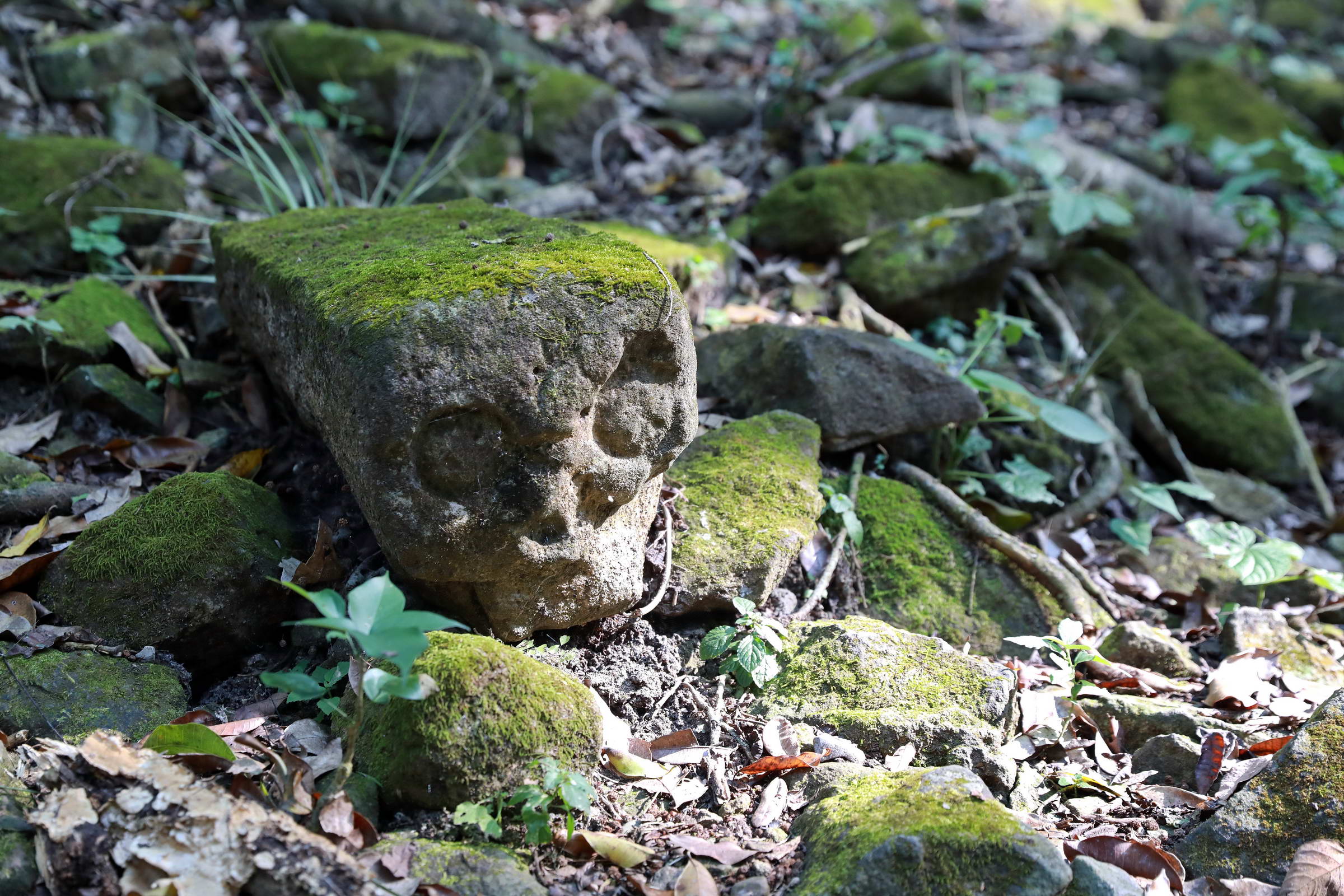 Stein mit Totenkopf
