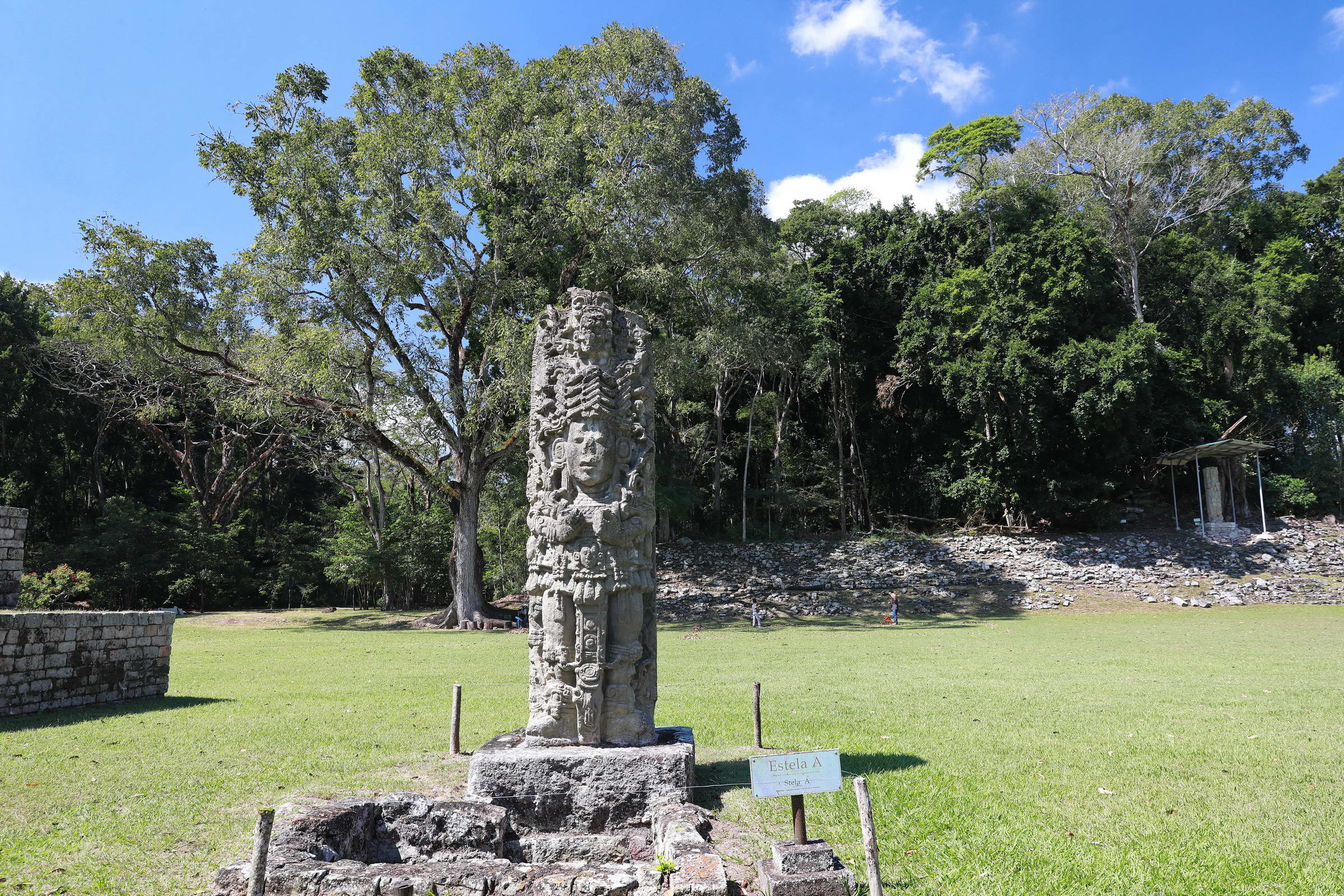 Maya Stele